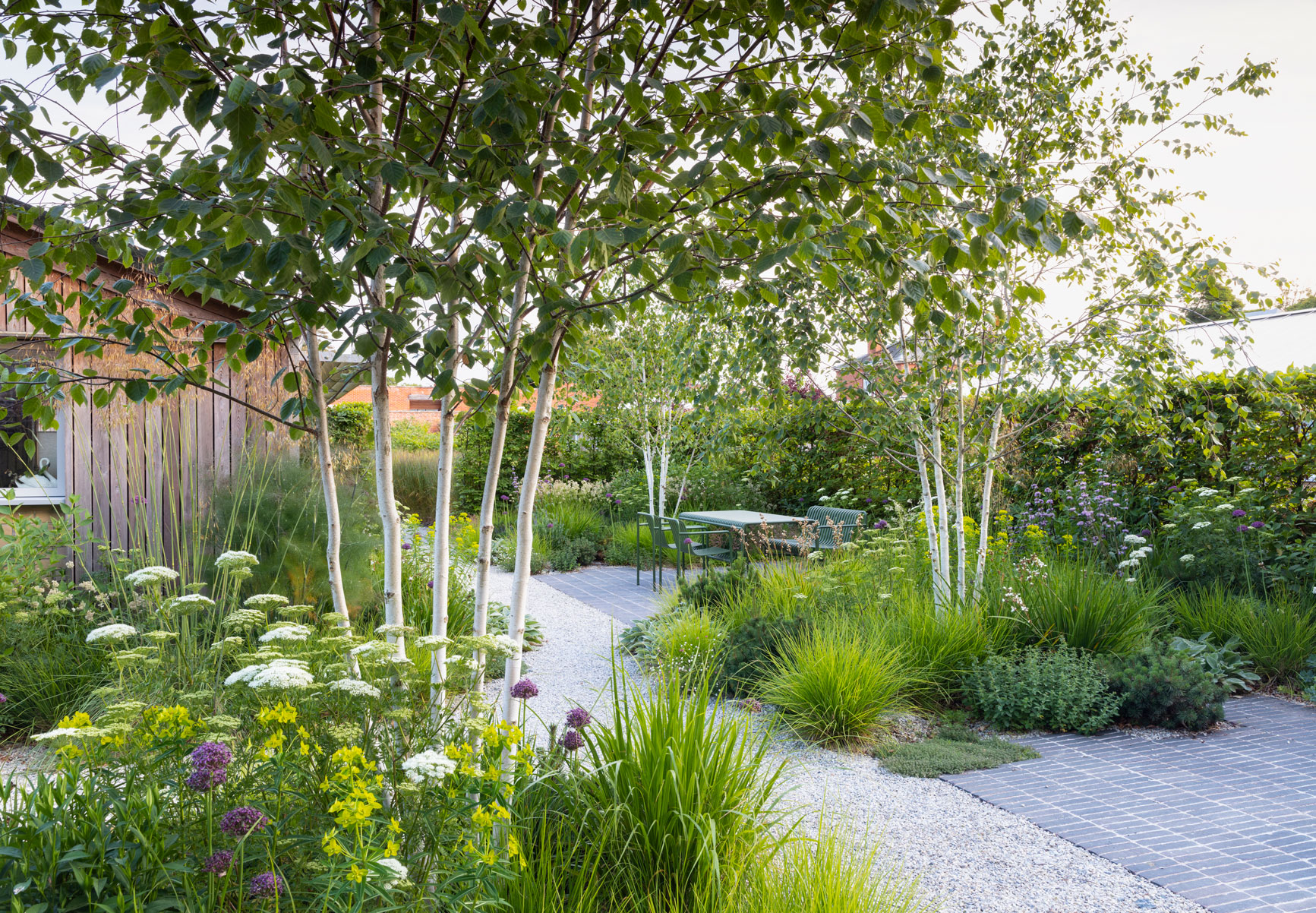 Colm Joseph suffolk garden design gravel gardens seating area clay pavers hay dining furniture cenolophium allium birch trees sesleria dwarf pines-1
